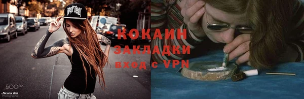 трава Бородино
