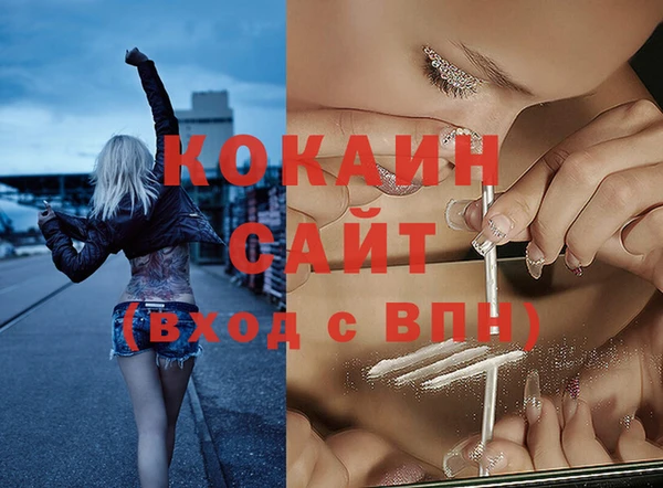 трава Бородино