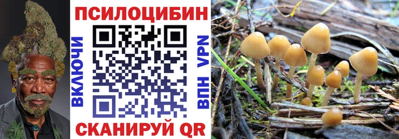 хочу наркоту  Можайск  Галлюциногенные грибы Magic Shrooms 